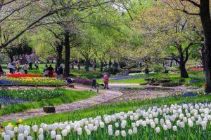Greenery Day -Tokyo